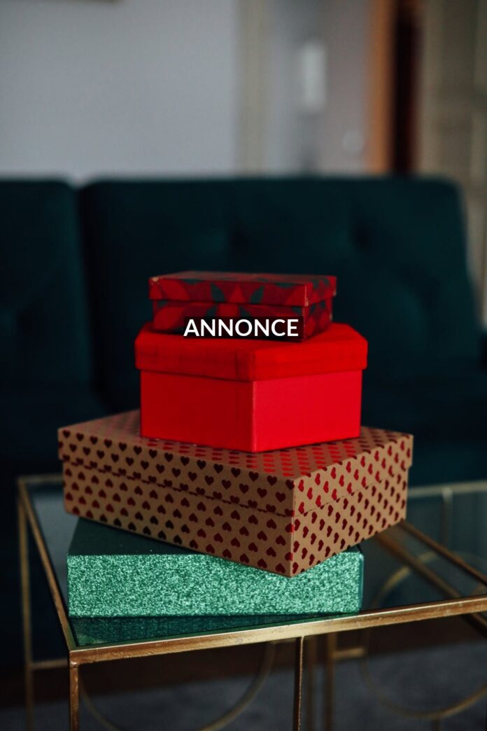 informationsbasen.dk-www.bach-promotion.dk-16-12-2020_16079001349242