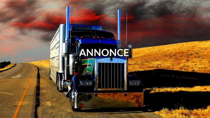 informationsbasen.dk-www.truckwash.dk-18-08-2021_16277542608591