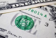 interim cfo